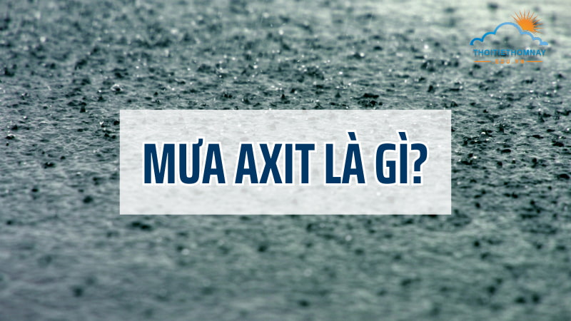 Mưa axit là gì? Tác hại kinh hoàng của mưa axit đối với cuộc sống