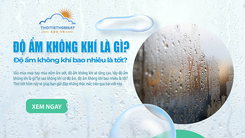 Độ ẩm không khí là gì? Độ ẩm không khí bao nhiêu là phù hợp?