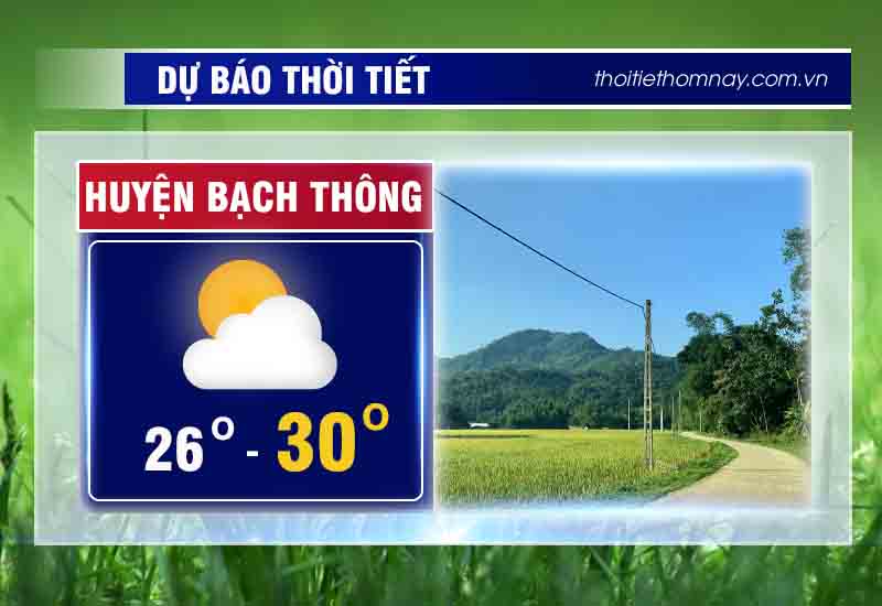 thoi-tiet-bach-thong